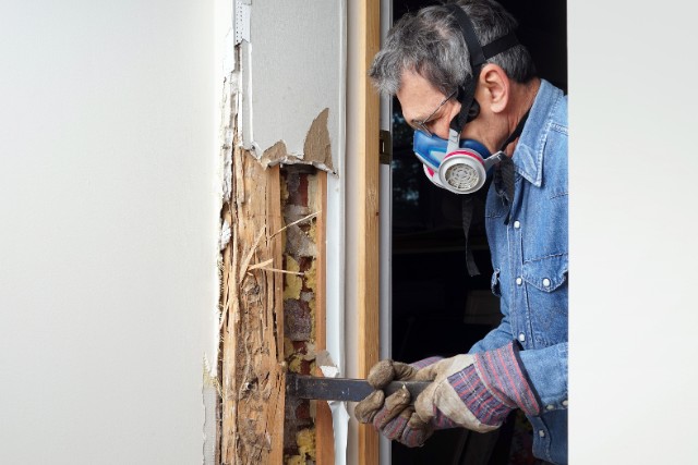 Exterminator removing termites from the walls of a Joliet home.